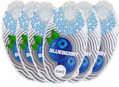 Capsules de cigarettes aromatisées - 100 par boîte 6 boîtes Capsules aromatisées Applicateur à rouleau de cigarette à filtre - Myrtille