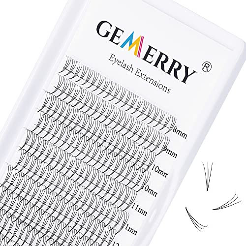3D Cils Prefait Premade Fans Cils Volume Russe Extension Cils Bouquet Soie 0.07 D curl 8-14mm Mix Lash Extensions de GEMERRY (3D-0.07-D-mix 8-14mm)