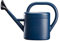 Arrosoir en plastique avec pommeau de douche en fer - Pour extérieur, intérieur, maison, bureau - Bleu - 5 l