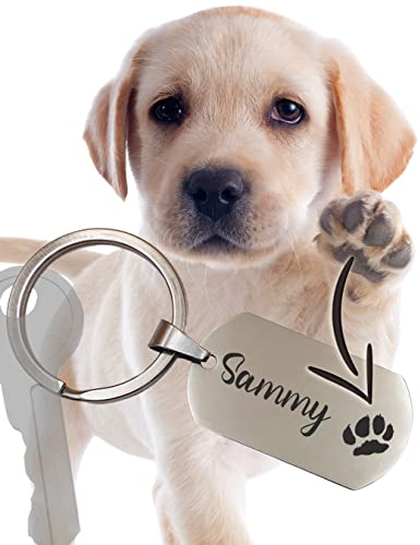 rieva® silberner Schlüsselanhänger aus handpoliertem Edelstahl mit gravierter Hundepfote - Made in Germany - wahlweise Hund oder Katze - Geschenke für Hundeliebhaber und -besitzer