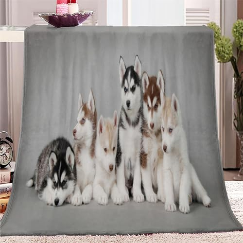 Kuscheldecke 100x130 cm Tierisches Husky-Muster 3D Druck Fleecedecke Flanelldecke Weich Wohndecke Sofadecke Zweiseitige Decke Für Kinder Jungen Mädchen Erwachsene