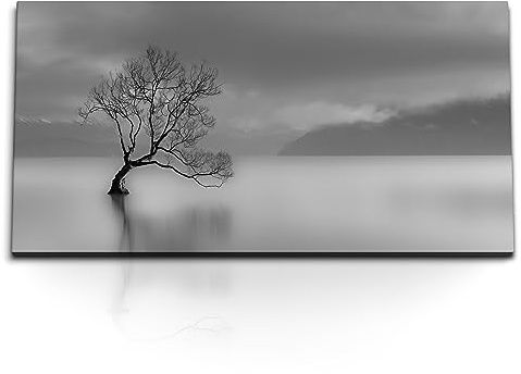 Paul Sinus Kunstdruck Bilder 120x60cm Schwarz Weiß Fotografie Baum im See Grau Monochrom