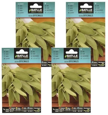 Pack 4 Semillas de salvia oficinalis de Semillas Batlle PACK (4)
