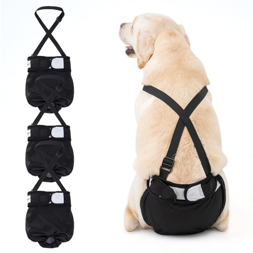 Avont 3 Piezas Pañales Reutilizables para Perras, Pañales Lavables Absorbentes Incontinencia Ajustable para Perros Pequeños Medianos Grandes -M Negro
