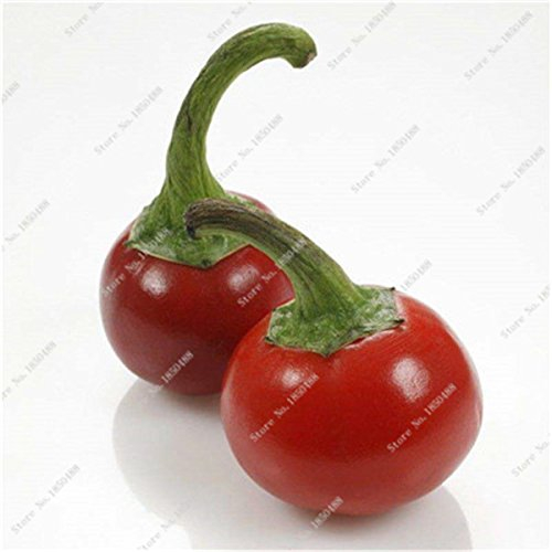 Kirsche Pfeffer sät Gemüse Hausgarten Bonsai Chile Pflanze Nicht-GVO-Garten-Dekoration Küche Würzen von Speisen 200 PC 18