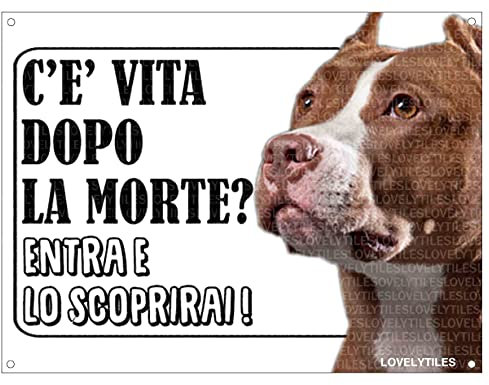 Lovelytiles Pitbull ATTENTI al Cane Esiste LA Vita Dopo LA Morte? Targa Cartello INSEGNA (PVC)