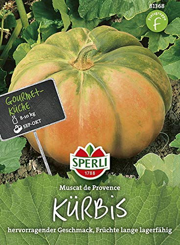 Sperli 81368 Kürbis Muscade de Provence (Kürbissamen)