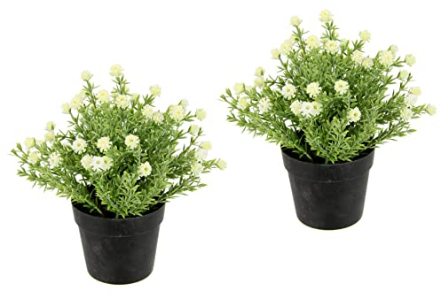 Flair Flower Mini Blütenbusch im Topf Künstlich Heidenkrant Busch Tischdeko Mittelstück Hochzeitsdeko Kunstblumen Kunstpflanze Unechte Deko Pflanze Buchs Blumenschmuck, 020998W, Weiß, 20x18x18 cm
