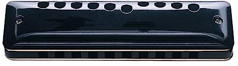 Mundharmonikas Diatonische Mundharmonika 10 Löcher Harfe Tonart C Kamm Professionelle Musikinstrumente