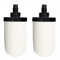 Lot 2 filtres à eau en céramique 5 pouces, filtres remplacement pour filtre à eau 5 pouces, avec charbon actif, pour système filtration d'eau par gravité comptoir
