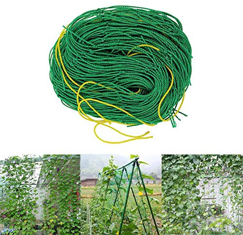 Trellis Net with Large Mesh Size, Climbing Net, Trellis Net for Greenhouse, Climbing Plants, Cucumbers, Raspberries, Tomatoes and Other Vegetable Plants, Shrubs, Climbing Plants 1.8 x 3.6 m