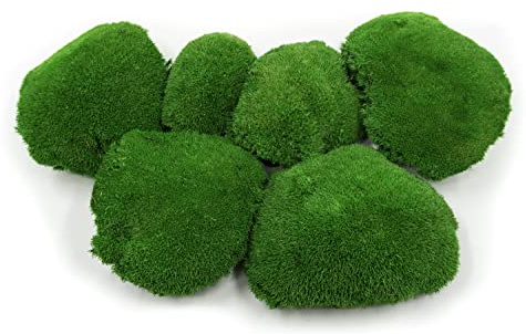 Kugelmoos, Ballenmoos Moos konserviert in 3 versch. Farben, echtes haltbares Naturprodukt zum Moosbild basteln, deckt 30x30cm Fläche - 0,10m² (Mittelgrün)