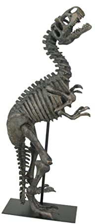 Things2Die4 Tyrannosaurus Rex Fossil Bones Home Decor Dinosaurier Skelett Skulptur Kunst, Braun, 55 cm
