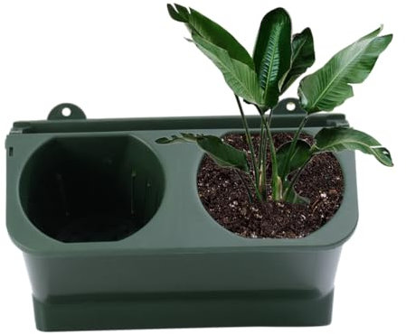 Kisangel Jardinera de Pared Diseño de Separación de Agua Material Orificios Pequeños para Plantas Tamaño Adecuado para Espacios