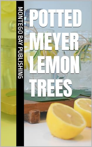 Potted Meyer Lemon Trees (Growing Sweet Fruits)