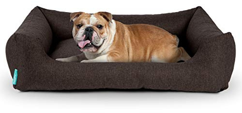 Hyggins Dreamer Pure Hundebett | Bezug abnehmbar und waschbar | Robust und pflegeleicht (S 60 x 44cm, Braun-Anthrazit)