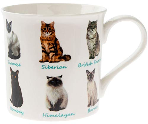 Leonardo Cats Mug, Fine China, Multicolour, 12 x 9 x 8 cm, 225 ml