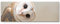 Paul Sinus Art Leinwandbilder | Bilder Leinwand 150x50cm Eulen Portrait
