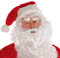 Classic Santa Claus Glasses
