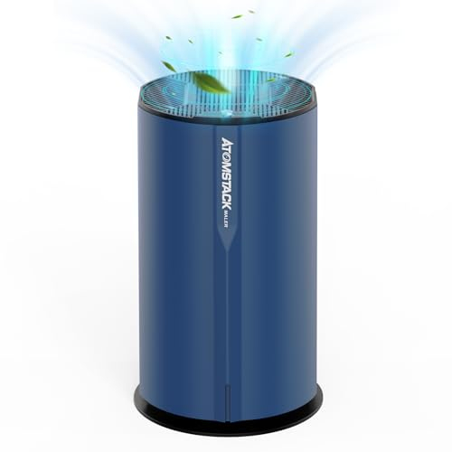 ATOMSTACK D2 Luftreiniger für Laser Graviermaschine Cutter, 99,97% Reinigungsgrad, Aktivkohle- und HEPA-Filter Rauchfilter, Effiziente Reinigung, Leise