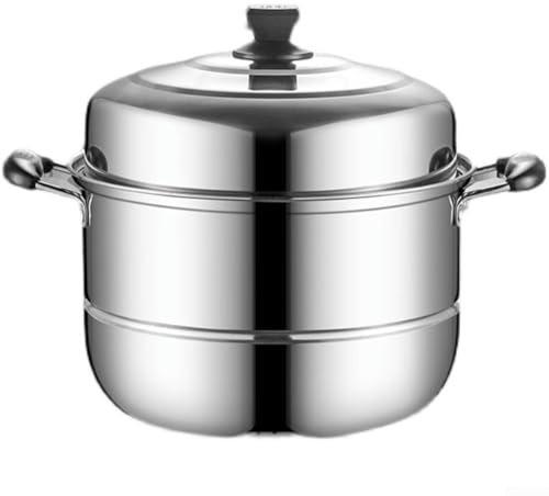 Pentola a vapore in acciaio inox, pentola a vapore a 2 livelli, cottura a vapore multifunzione da cucina, pentola per pesce al vapore spessa per uso domestico (26 cm)