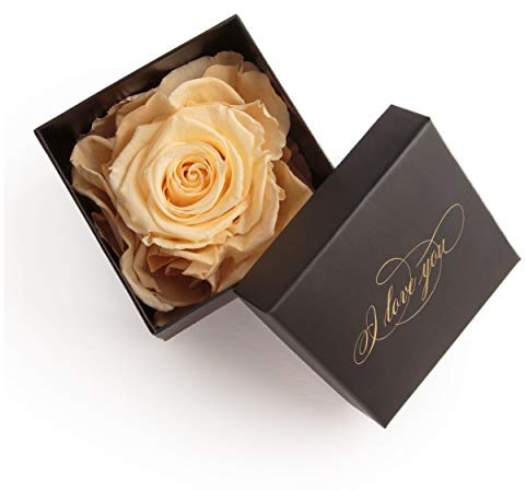 Hochzeitstag Geschenk mit 1 konservierten Rose Blumenbox I LOVE YOU Blumen versenden/Liebeserklärung/Liebesbeweis/Verlobung/Blumenversand (1 Rose, Schwarz-Beige)