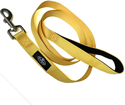 Easipet Neoprene Dog Lead with Padded Comfort Grip, 6ft, Yellow, with Metal Snap Hook and D-Ring