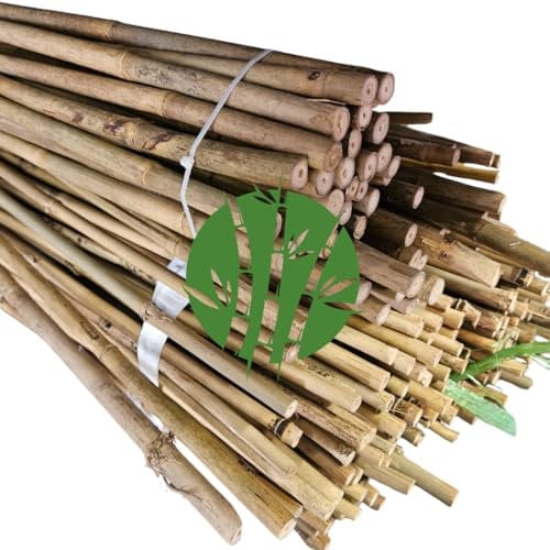 Set di 10 Tutori in Bambù Naturale – Pali per Pomodori, Sostegni per Piante da Interno ed Esterno – Bastoni per Orto e Giardinaggio – Lunghezze da 120 a 210 cm (H CM 120 X D MM 12-14)