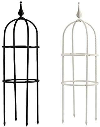 Riuulity Kletterpflanze, Metallstütze für Weinreben, Rostfreies Rankgitter mit Traktion für Blühende Pflanzen, für Gärtner mit Kleinem Gemüse, 20 X 60 cm (3)