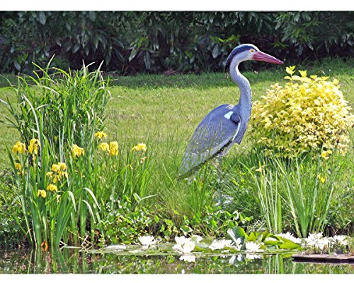 Unbekannt Gartenfigur/Teichdekoration Fischreiher - Reiherschreck