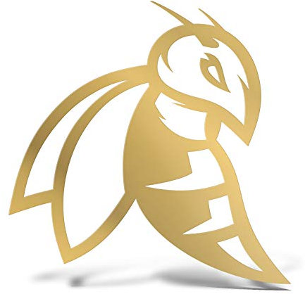 ERREINGE x2 STICKER PRESPAZIATO ORO 12cm - APE VESPA DX - Adesivo Decal Decalcomania Vinile Murale Laptop Auto Moto Casco Camper