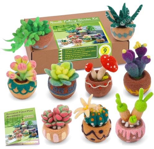 Wamkon Nadelfilz Set, 9-Teiliges Filzset für Anfänger Mit Sukkulenten, Filzset Inklusive Filz Wolle, Nadelfilzmatte, Filznadeln und Anleitung für DIY Nadelfilzen Set Anfänger
