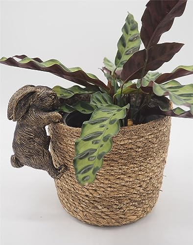 Rabbit Pot Buddies Plant Pot Hanger