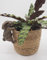 Rabbit Pot Buddies Plant Pot Hanger