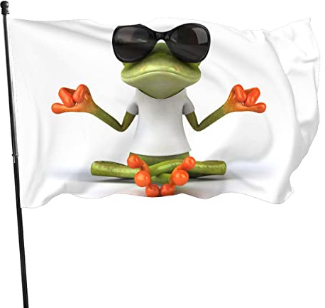 30 x 45 cm dekorative Hausflagge Hofbanner, lustiger Laubfrosch, Meditation, Yoga, Froschflagge, Druck, Gartenflaggen, hängende Flaggendekoration (frog01)