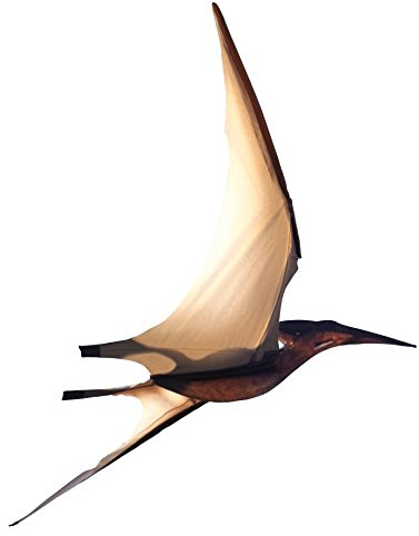Jurassic Kites. Realistic and unique Pterodactyl Kite from the age of the Dinosaurs