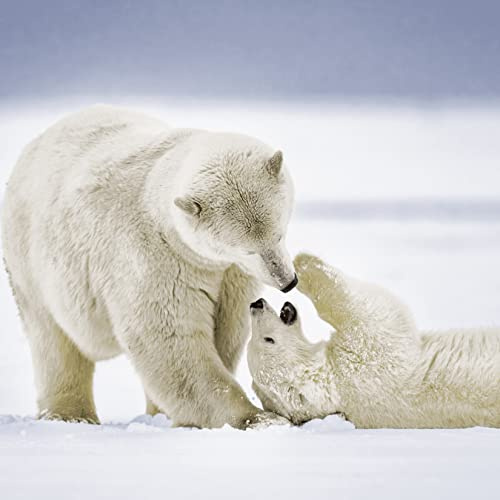 20 Servietten Eisbären Tiere Winter