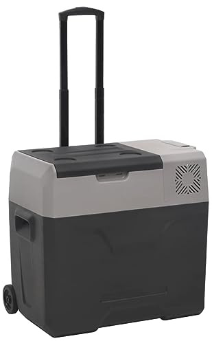 Rantry Fridge with Wheels and Handle Polypropylene Black and Grey 30 L Refrigerators