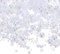 sourcing map 30g Flatback Pearls and Rhinestones 3mm-10mm Mixed Resin Half Pearl Rhinestone for Crafting Nails Clothing Shoes DIY Crafts Decoration White