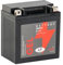 LANDPORT Batterie 12V 11Ah LB10-3 Gel kompatibel für Aprilia Scarabeo, Gilera Dakota 500, Runner 125 4T,Piaggio Liberty 125, Suzuki GS