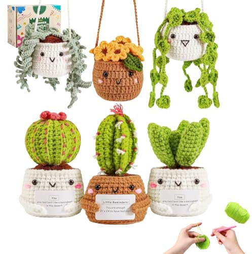 Crochet Kit 6 Pcs Crochet Kits for Beginners Adults with Step-by-Step Video Instructions Handmade Positive Hanging Plant Crochet Gifts Kits