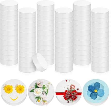 Osmond 72Pcs 3 Inch Foam Circles 1 Inch Thick Round Polystyrene Discs White Foam Cylinders Foam Blocks for Crafts Modeling DIY