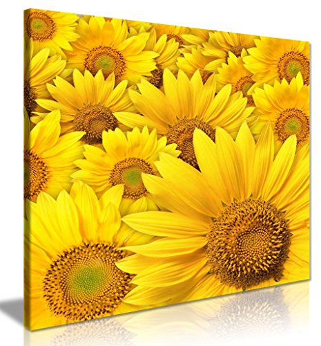 Yellow Sunflower Canvas Wall Art Picture Print (24 x 24 Inch)