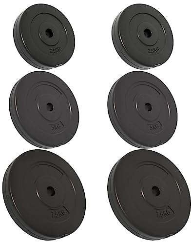 vidaXL Dischi per Pesi 6 pz 30 kg in Cemento