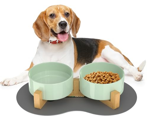 Doppel 850ml Hundenapf Keramik Futternapf Fressnapf Hund Erhöht Futterschüssel mit Bambus Ständer und rutschfestem Matte für mittelgroße und große Hunde Futter- und Wassernapf (Porzellangrün)