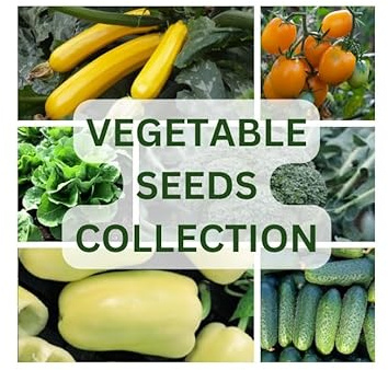 Nojus - Exklusive Gemüsesamen-Kollektion – 20 hermetische Beutel - Verschiedene Gemüsesorten Samen Starter Kit - Gartensamen Pflanzen Samen - Saatgut Gemüsebox 20 Sorten