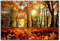 bestforhome 90x60cm Leinwandbild Herbst Wald mit bunten Blättern Leinwand auf Holzrahmen