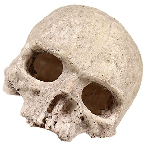 FOMIYES Decorazione Per Invertebrati Accessorio Chic Per e Terrario Resistente e