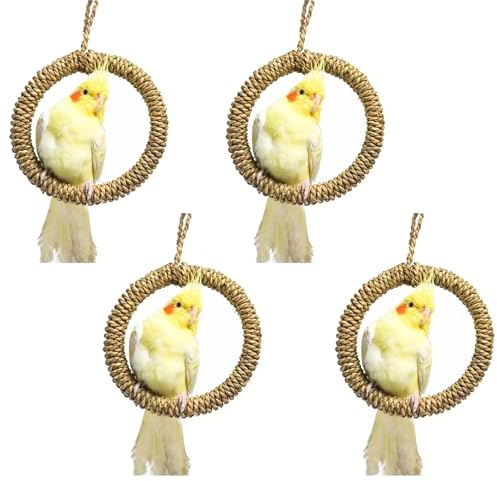 Vogelspielzeug, Seilring, Sitzstange, Vogelschaukel, Käfig-Hängespielzeug, Langeweile, Breaker für Wellensittiche, Nymphensittiche, Sittiche, Finken, kleine und mittelgroße Vögel, 4 Stück