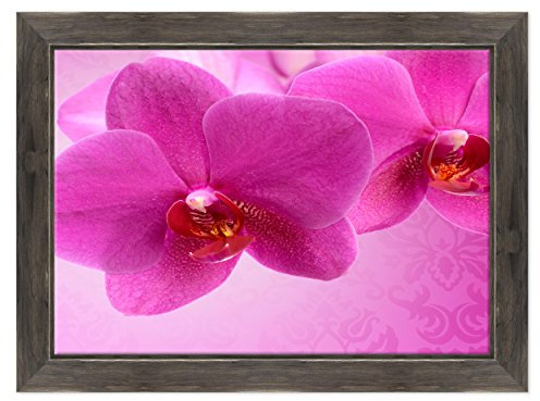 Bild auf Leinwand Canvas – Gerahmt – fertig zum Aufhängen – Violett – Violetta Blume Dimensione: 70x100cm D - Colore Nero Shabby